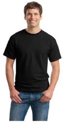 Gildan - Ultra Cotton™ 100% Cotton T-Shirt. 2000.