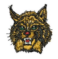 WILDCAT HEAD  E30431