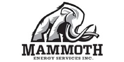 Mammoth Energy Services